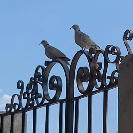 Bed & Breakfast Le N 9