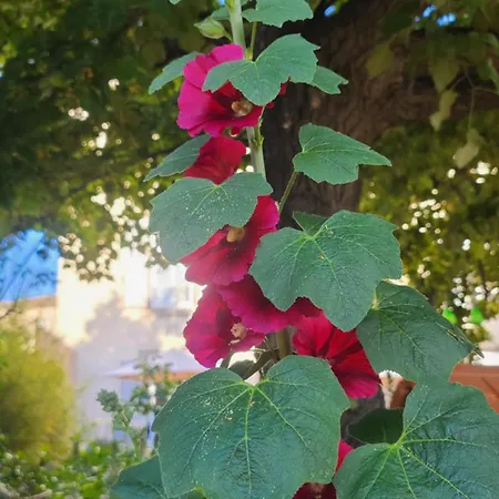 Bed & Breakfast Le N 9 3*