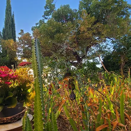 Le N 9 Bed & Breakfast 3*